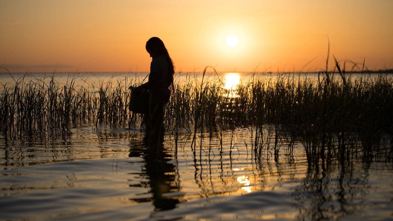 Where the Crawdads Sing — backdrops 3