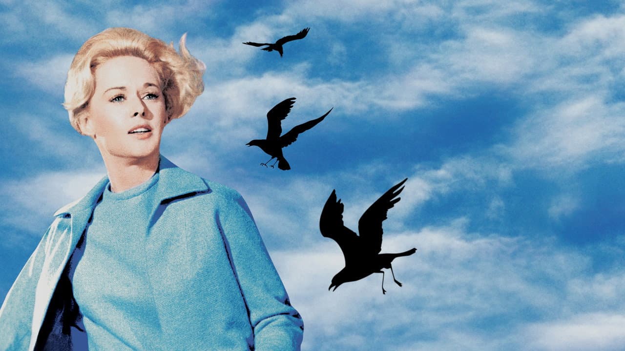 The Birds — backdrops 8