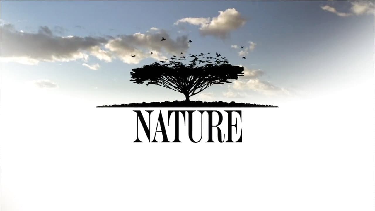 Nature — backdrops with title 2