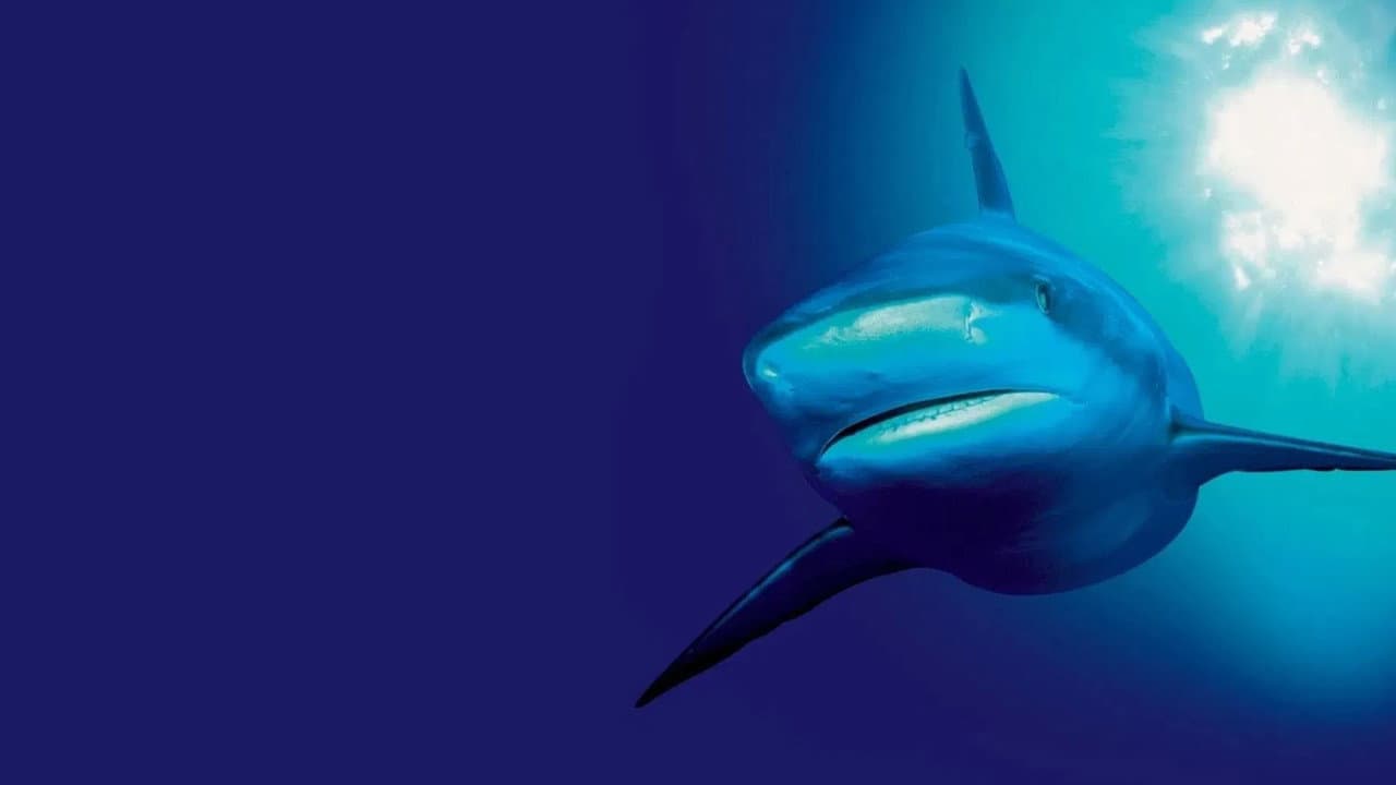The Blue Planet — backdrops 3