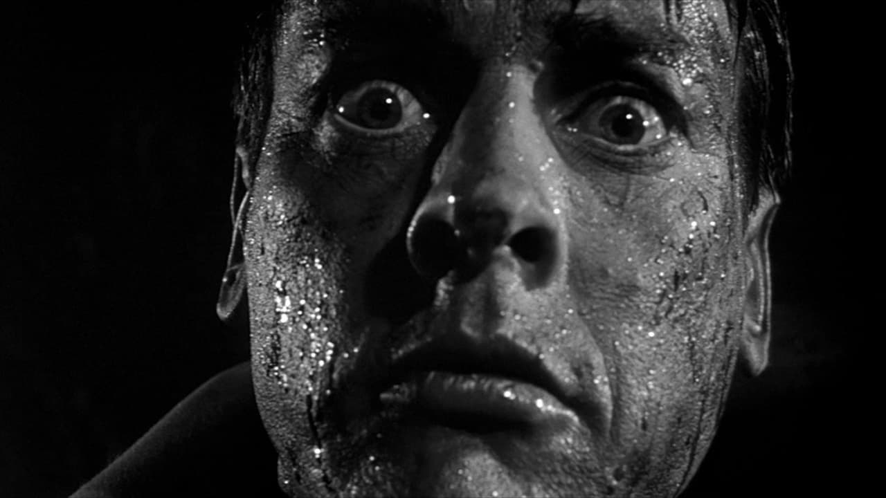 Invasion of the Body Snatchers — backdrops 6