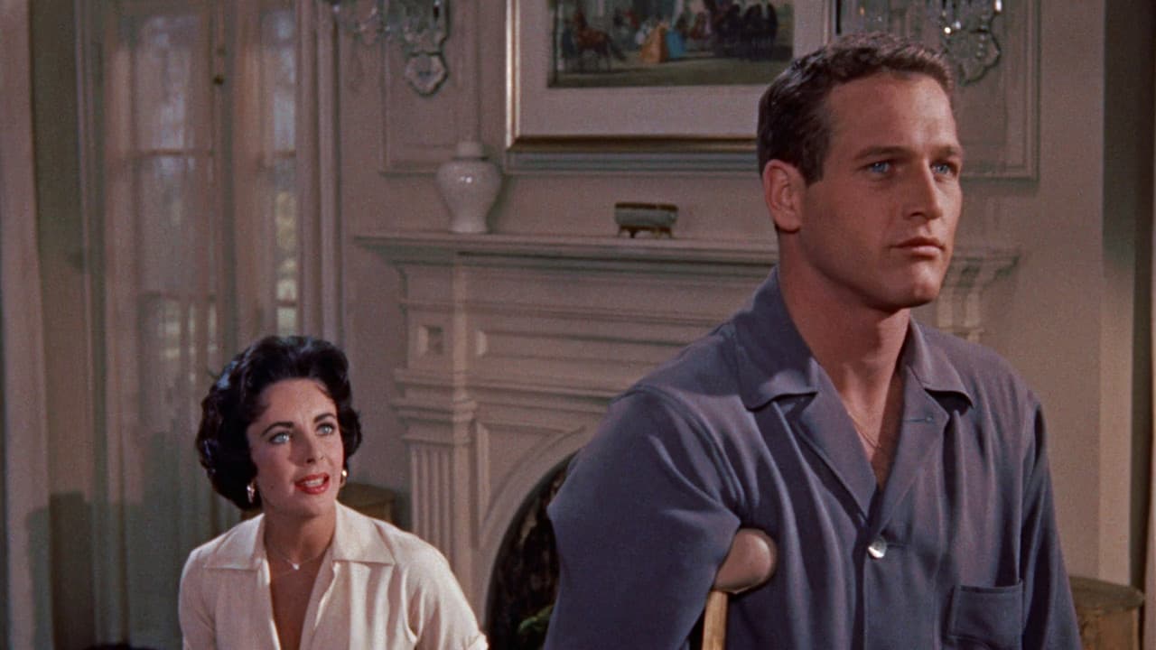 Cat on a Hot Tin Roof — backdrops 1