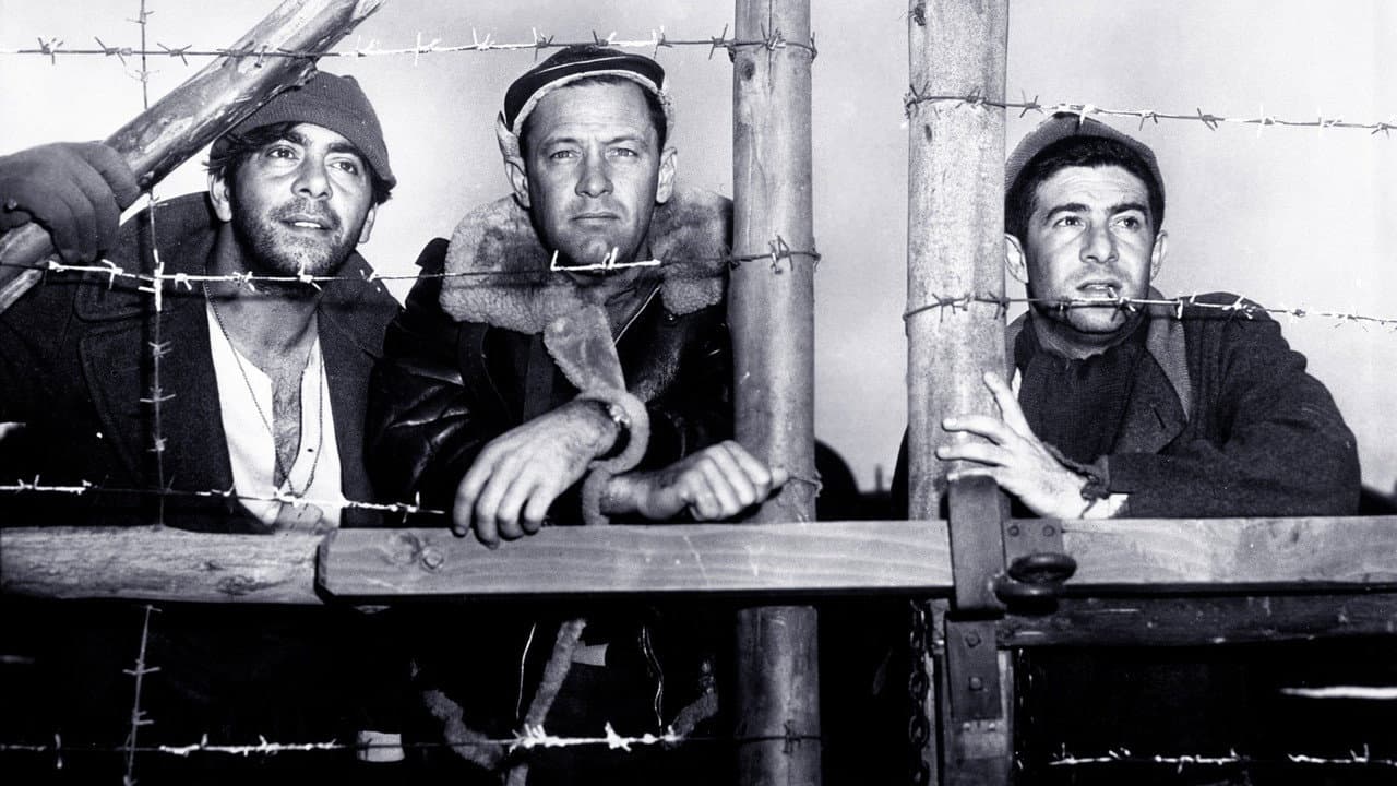 Stalag 17 — backdrops 6