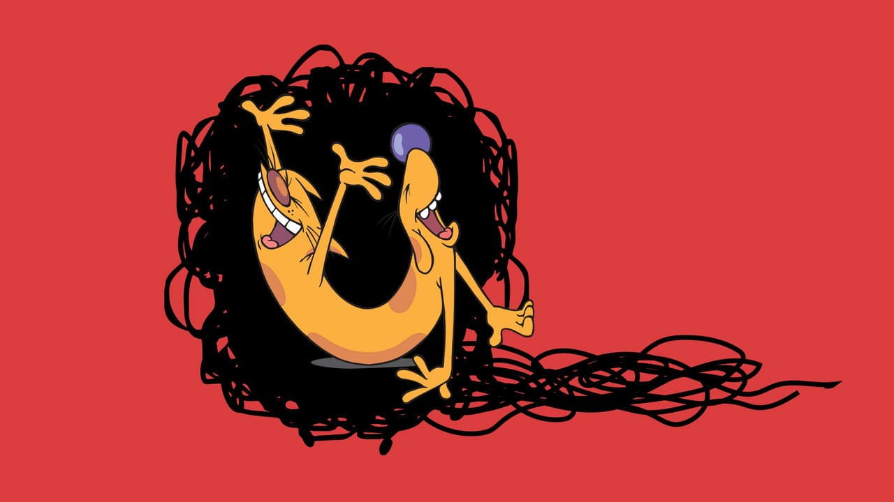 CatDog — backdrops 8