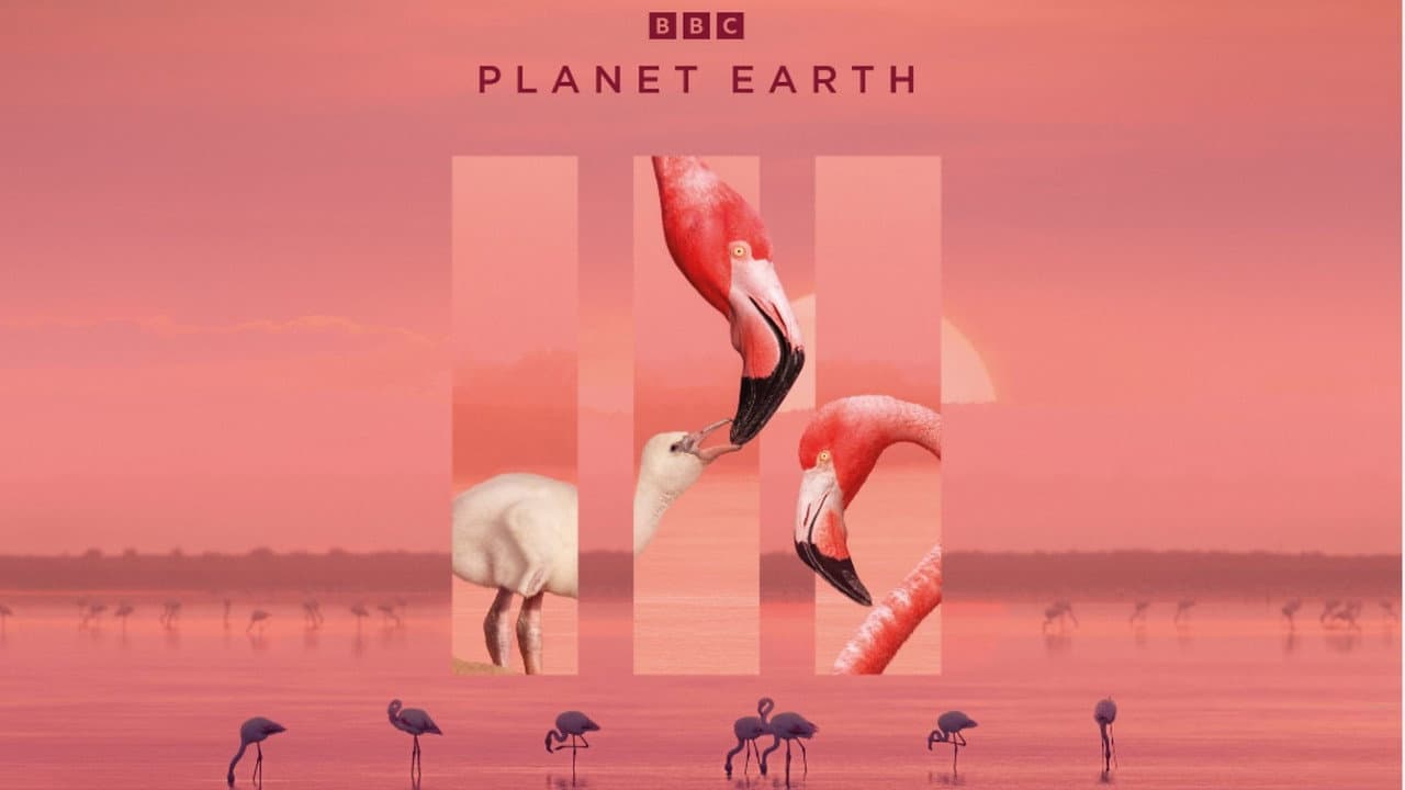Planet Earth II — backdrops with title 3