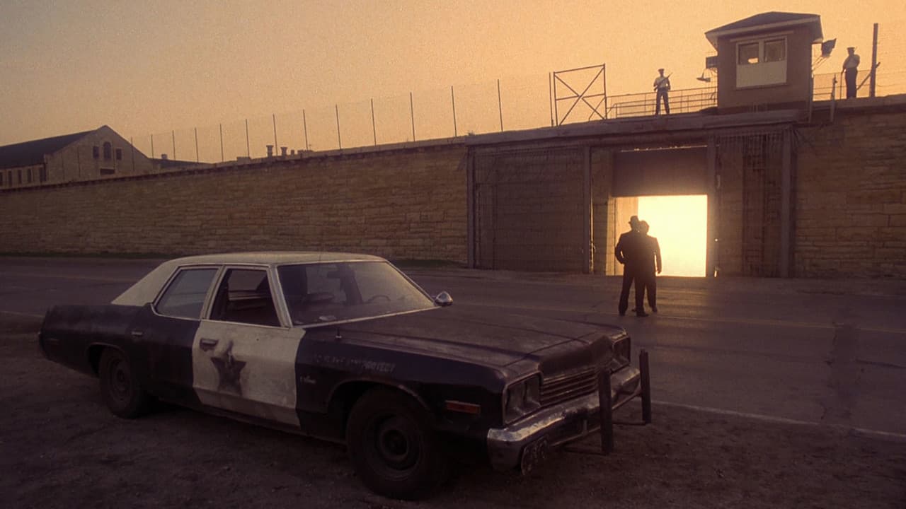 The Blues Brothers — backdrops 2