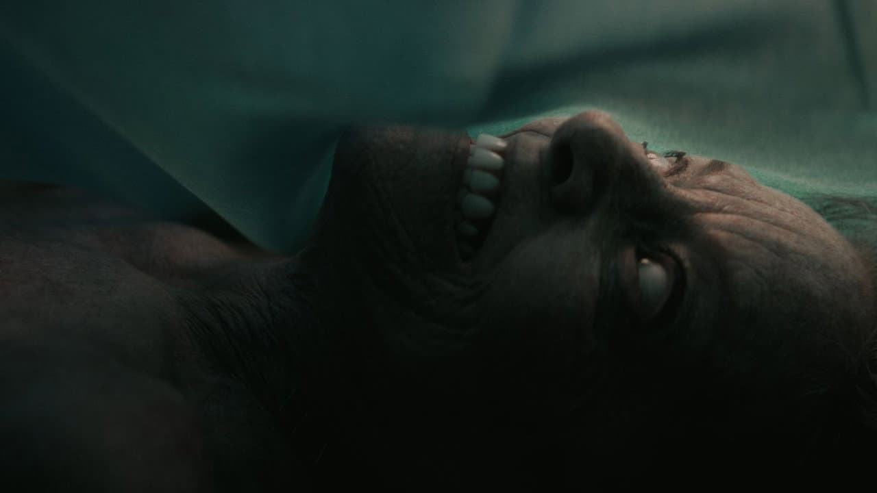 The Mortuary Assistant — backdrops 5