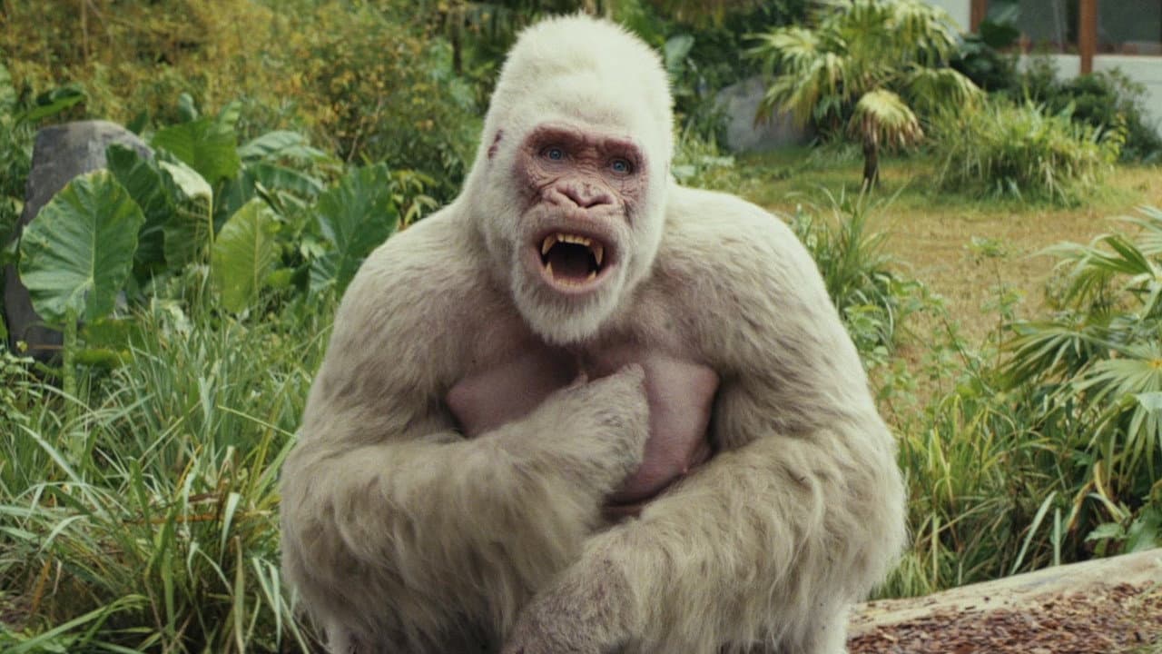 Rampage — backdrops 6