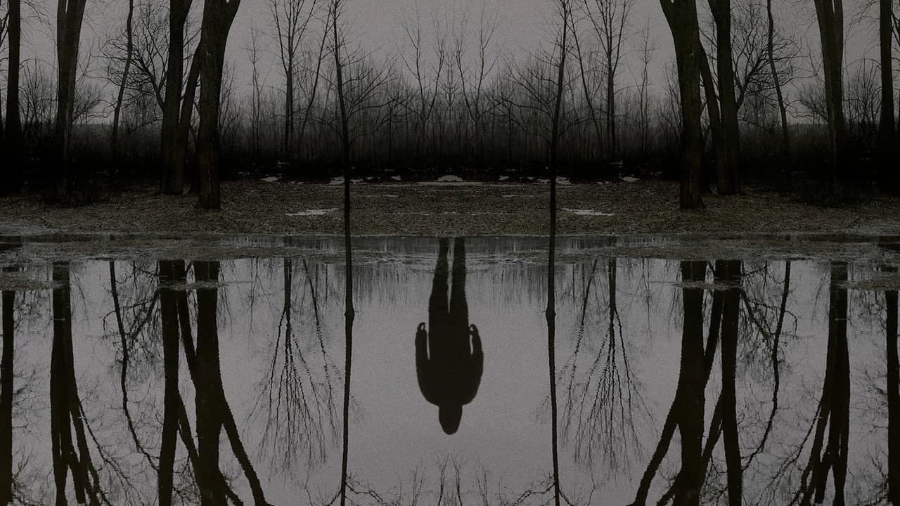 The Outsider — backdrops 6