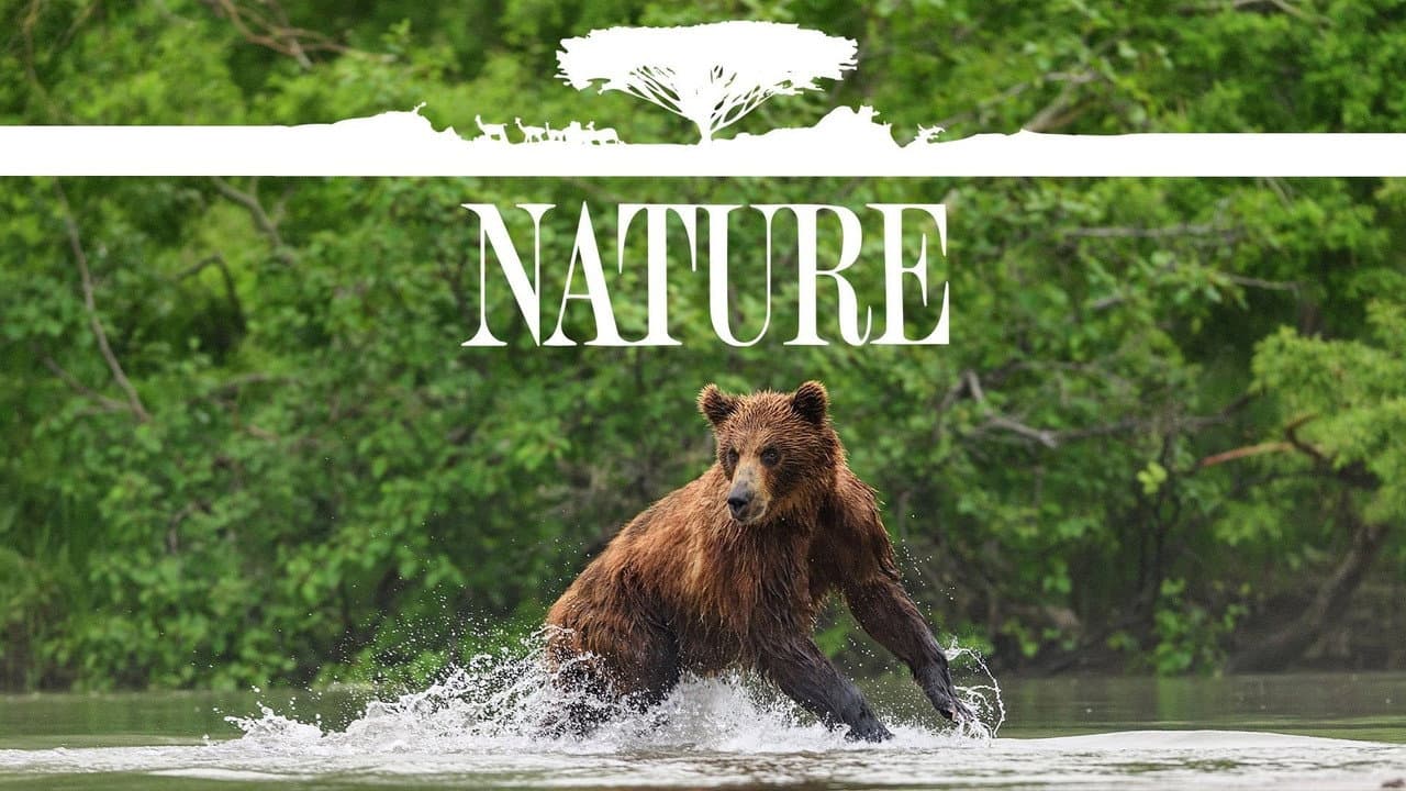 Nature — backdrops with title 5