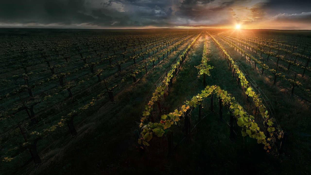 Star Trek: Picard — backdrops 4