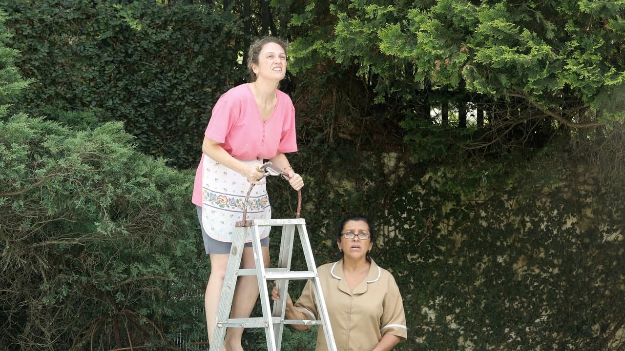 The Second Mother — backdrops 8