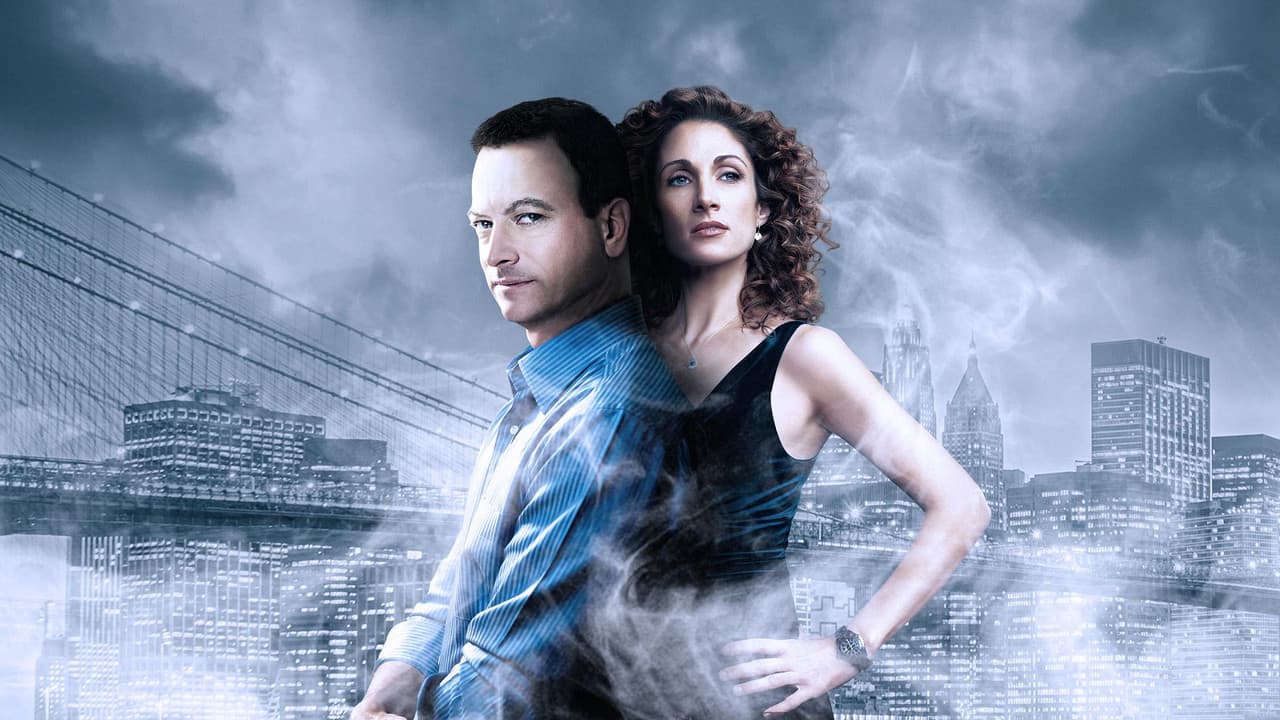 CSI: NY — backdrops 1