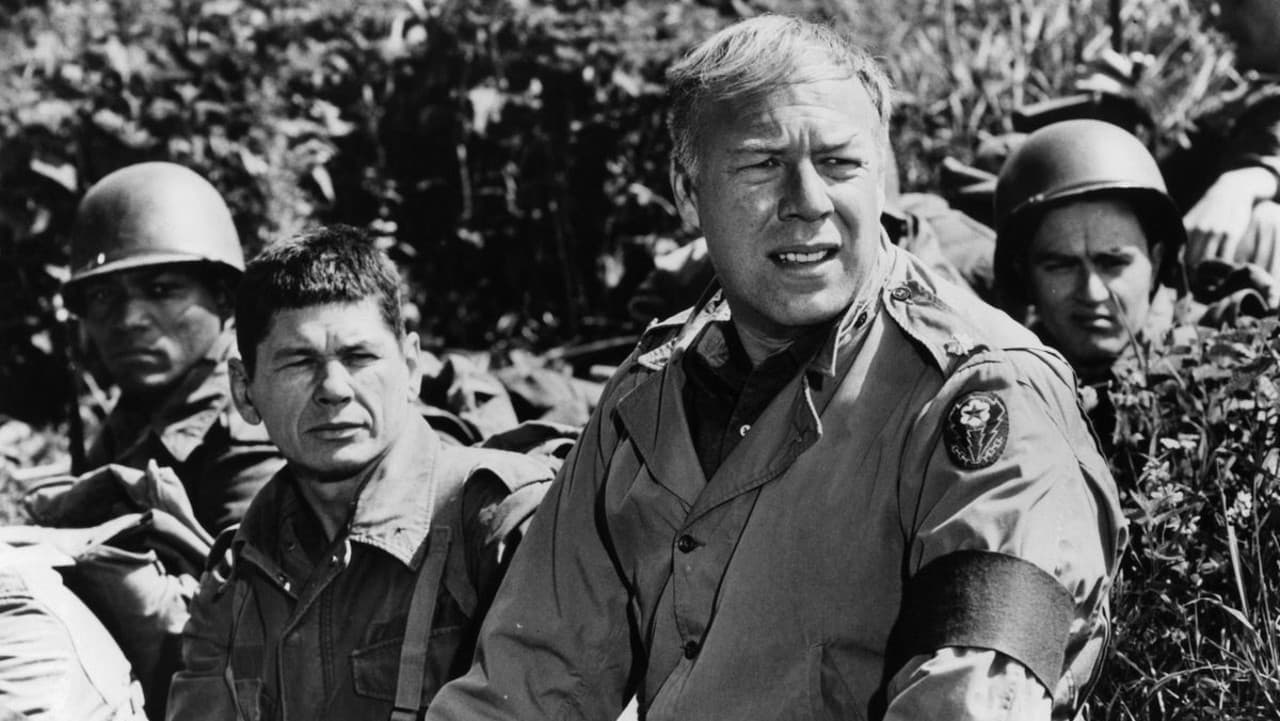 The Dirty Dozen — backdrops 6