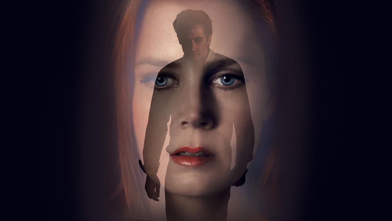 Nocturnal Animals — backdrops 2