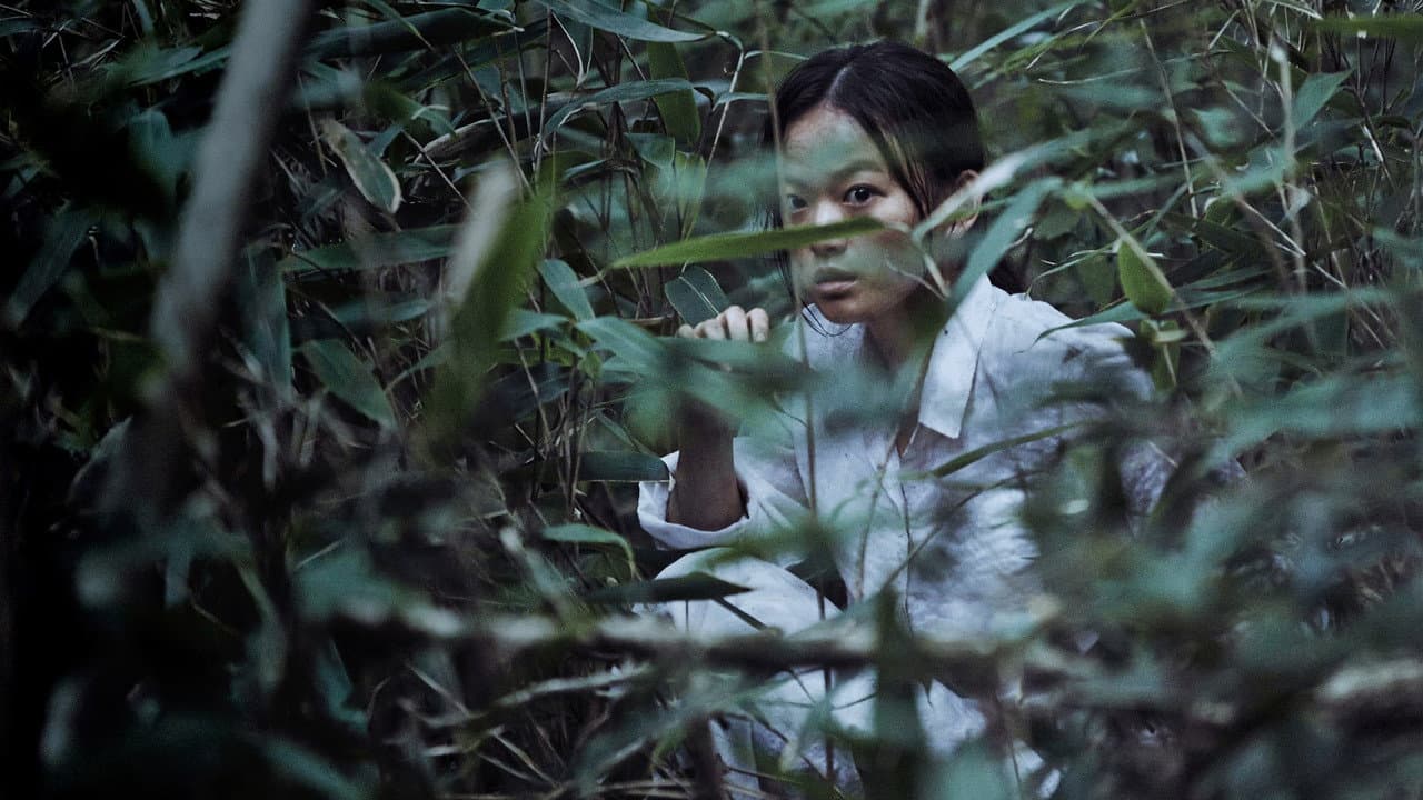 The Wailing — backdrops 8