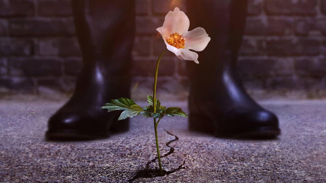The Man in the High Castle — backdrops 3