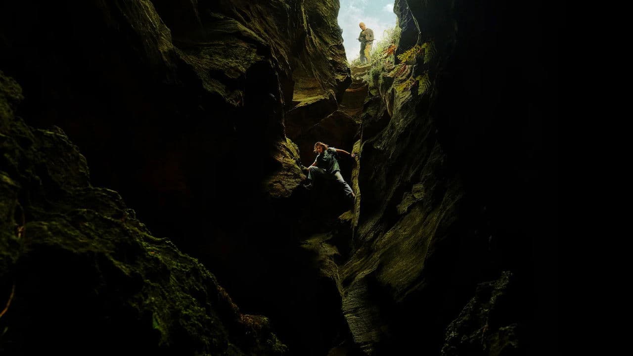 Apex — backdrops 3