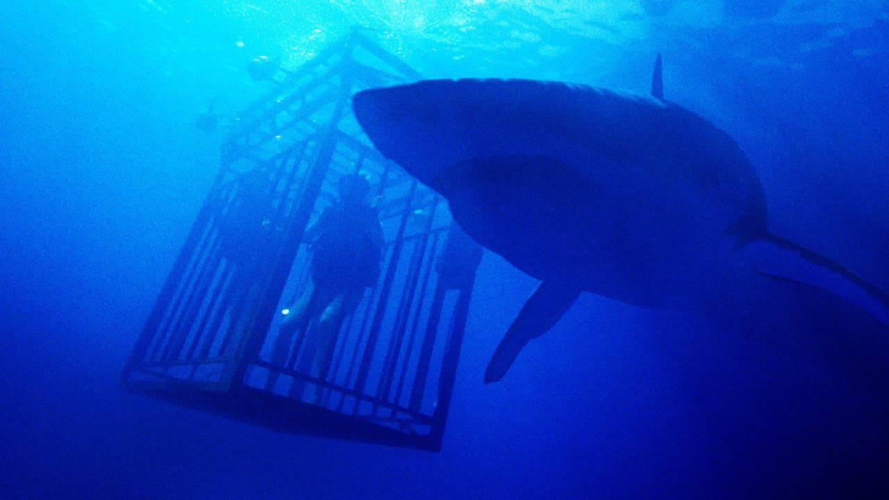 47 Meters Down — backdrops 7