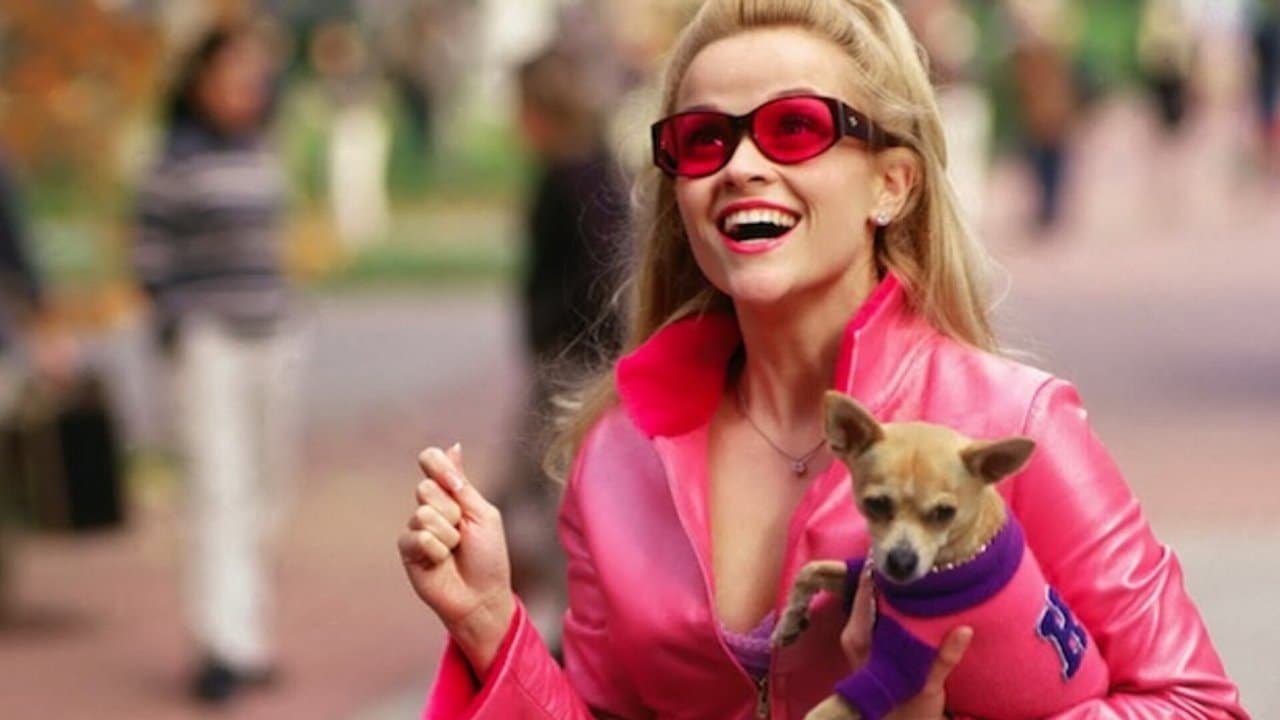 Legally Blonde — backdrops 5