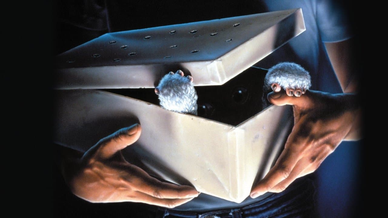 Gremlins — backdrops 2