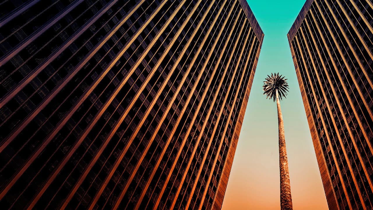 Suits LA — backdrops 4
