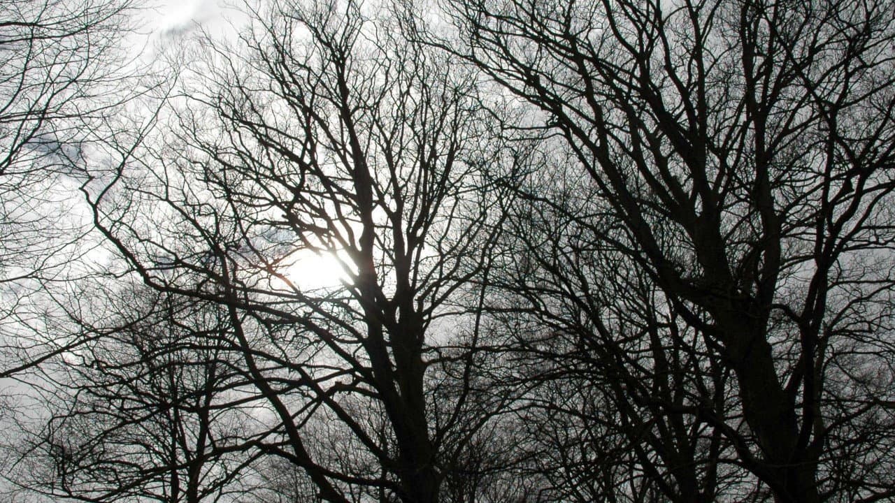 Tales from the Darkside — backdrops 3
