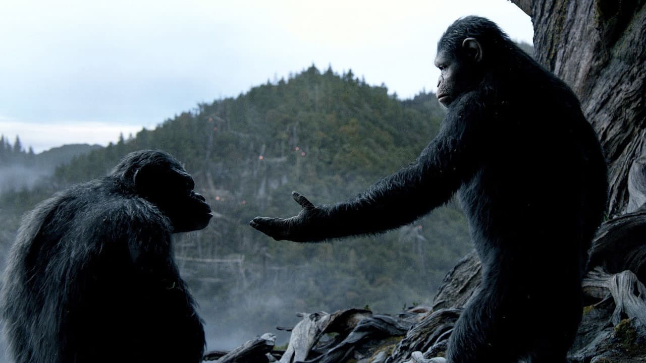 Dawn of the Planet of the Apes — backdrops 8