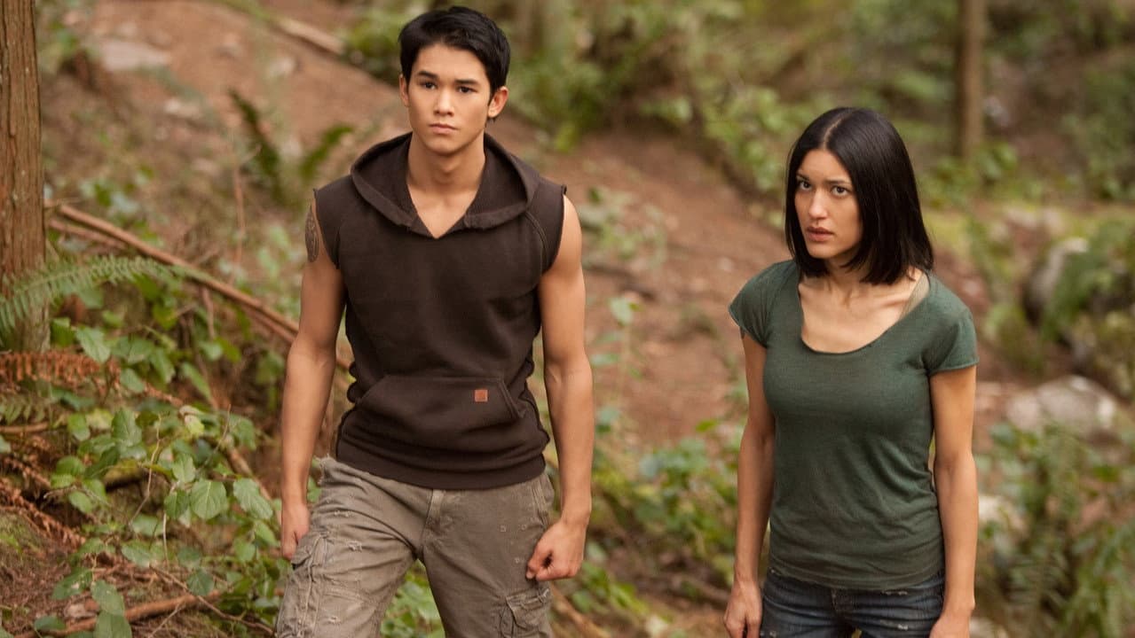 The Twilight Saga: Breaking Dawn - Part 1 — backdrops 2