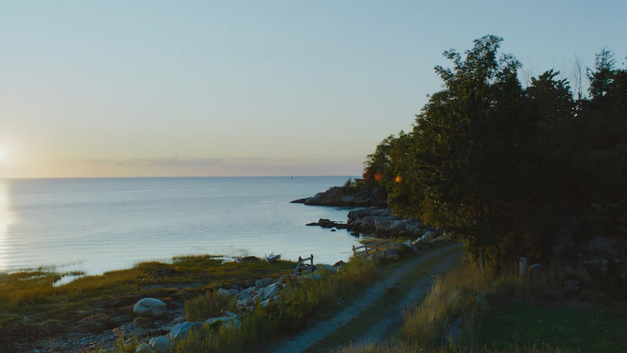 Widow's Bay — backdrops 7