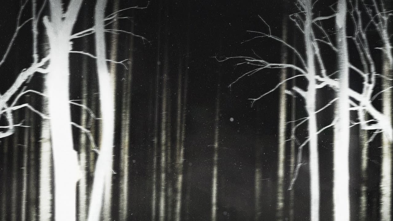 Shelby Oaks — backdrops 3