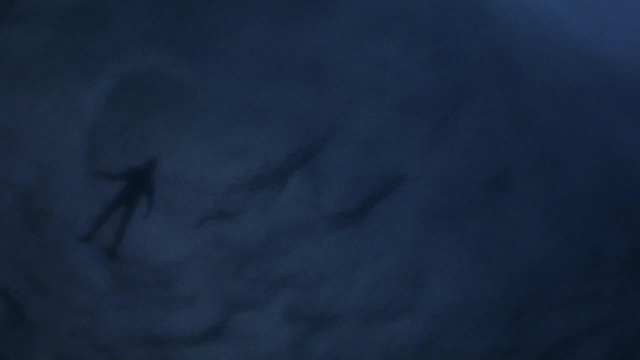 The Bourne Identity — backdrops 2
