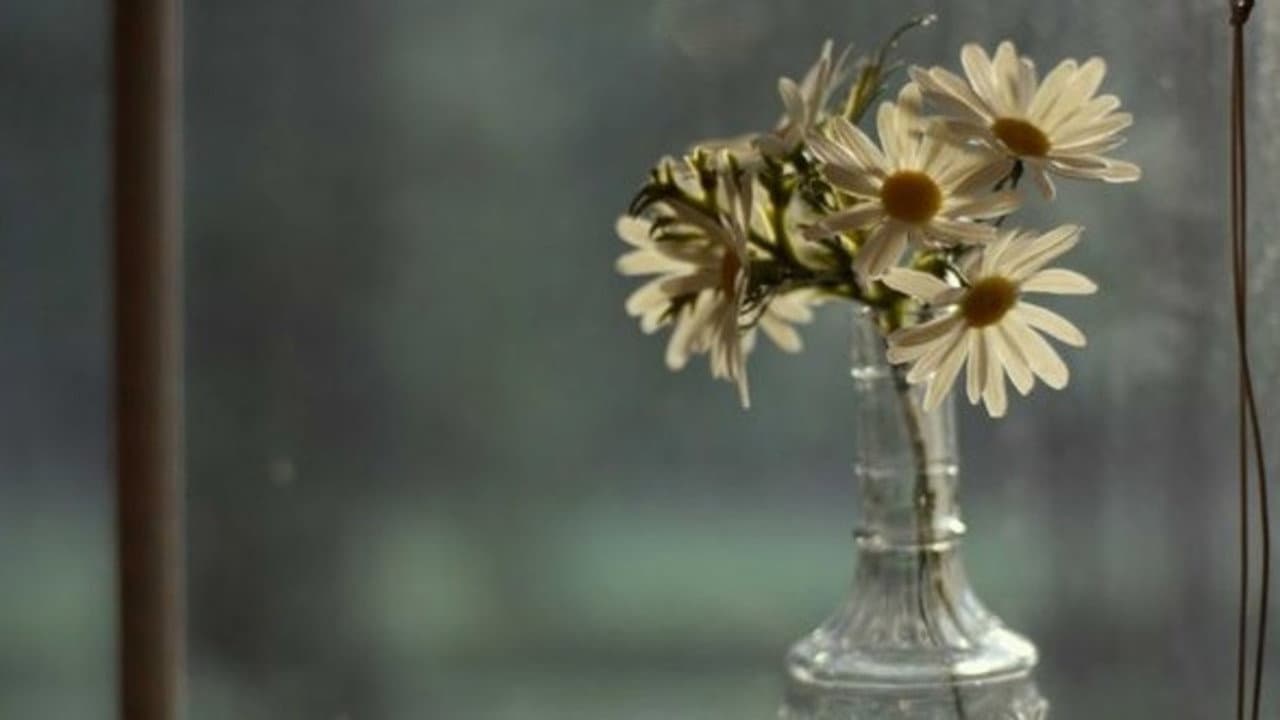 Looking for Alaska — backdrops 2