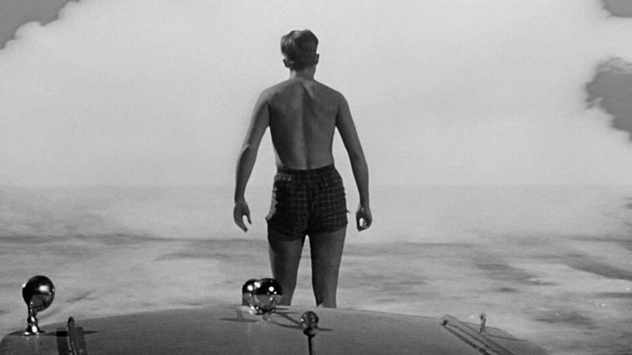 The Incredible Shrinking Man — backdrops 7