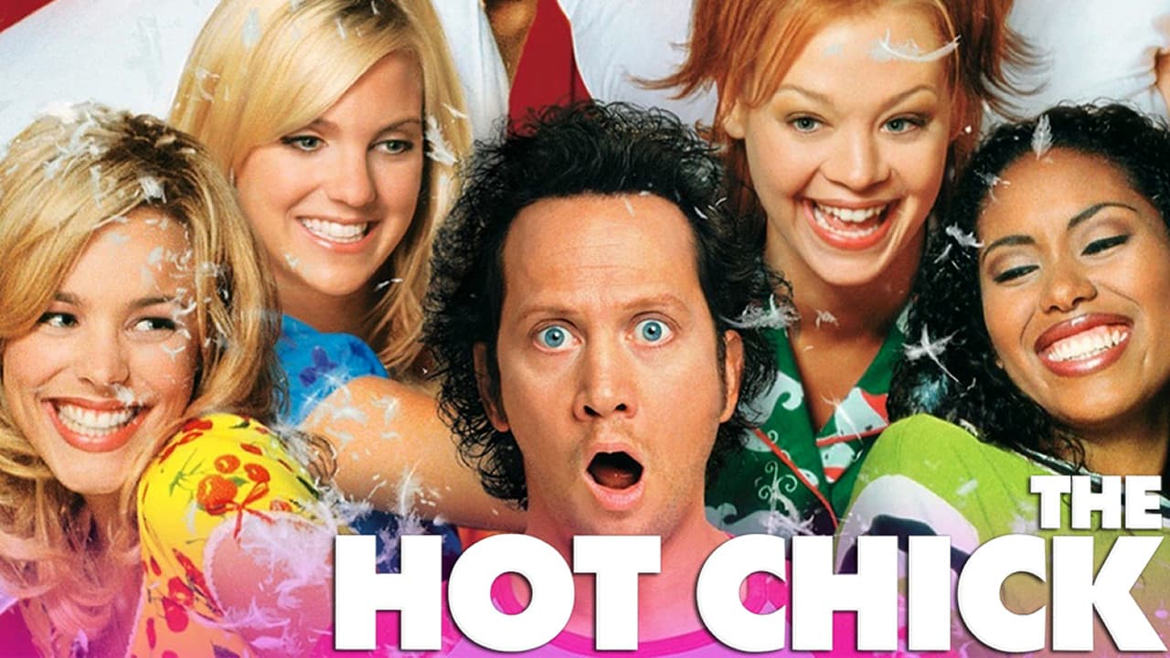 The Hot Chick — backdrops with title 4