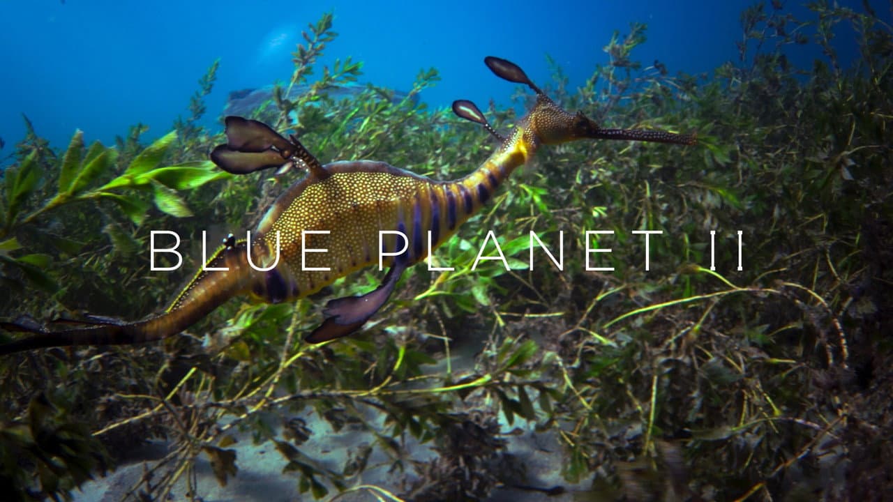 Blue Planet II — backdrops with title 3