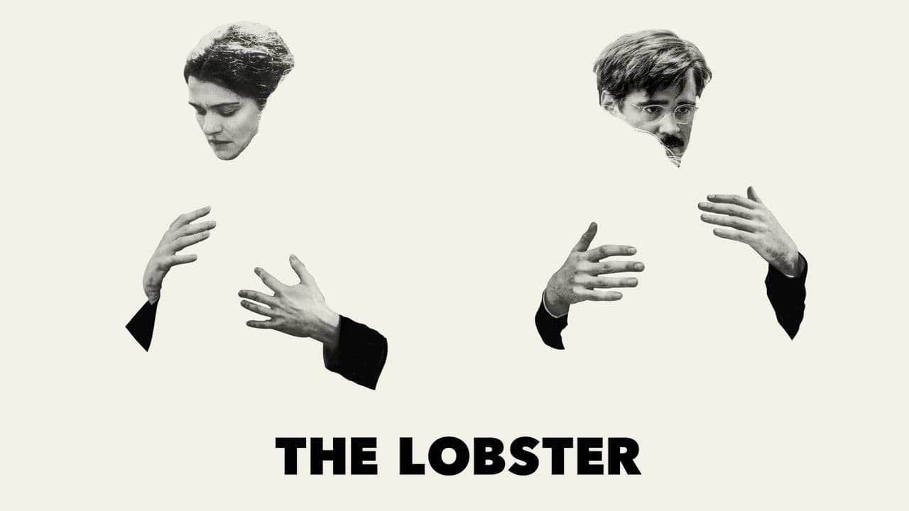 The Lobster — backdrops with title 8