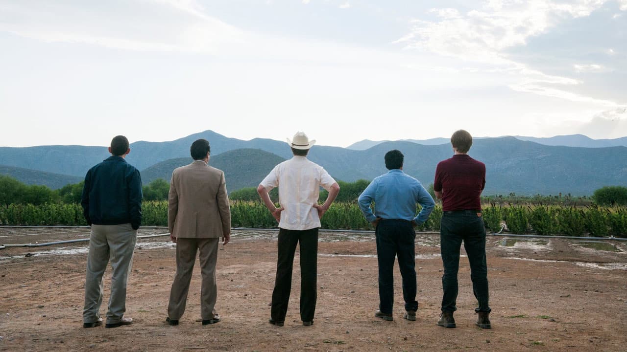 Narcos: Mexico — backdrops 5