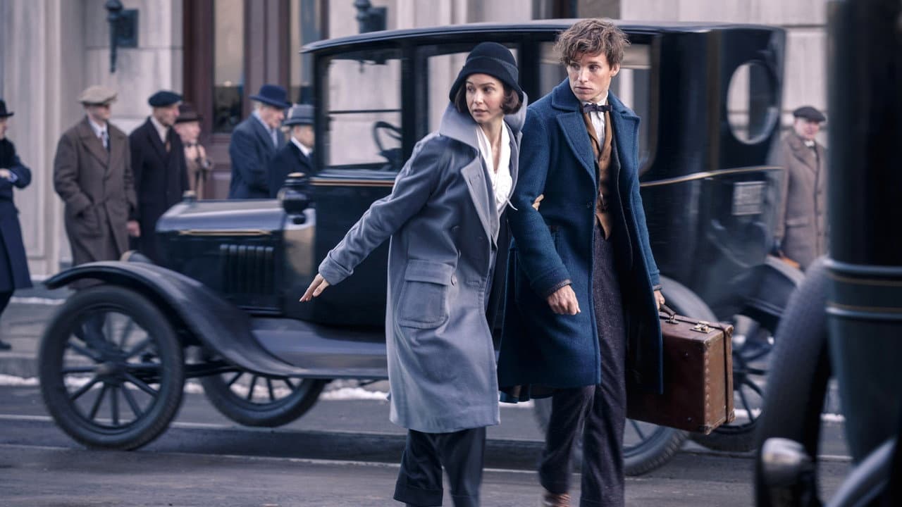 Fantastic Beasts and Where to Find Them — backdrops 7