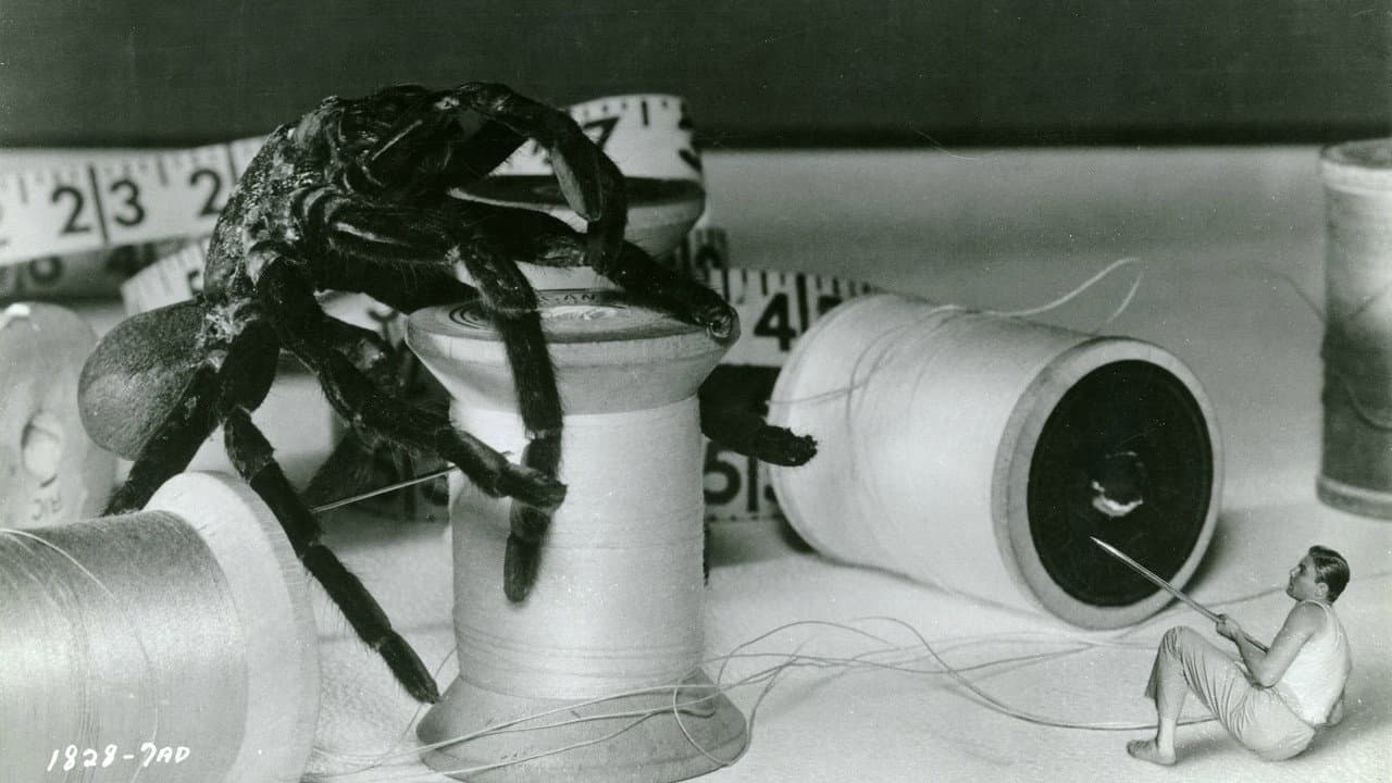 The Incredible Shrinking Man — backdrops 3