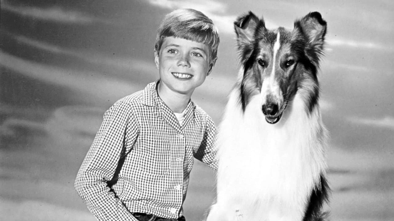 Lassie — backdrops 1