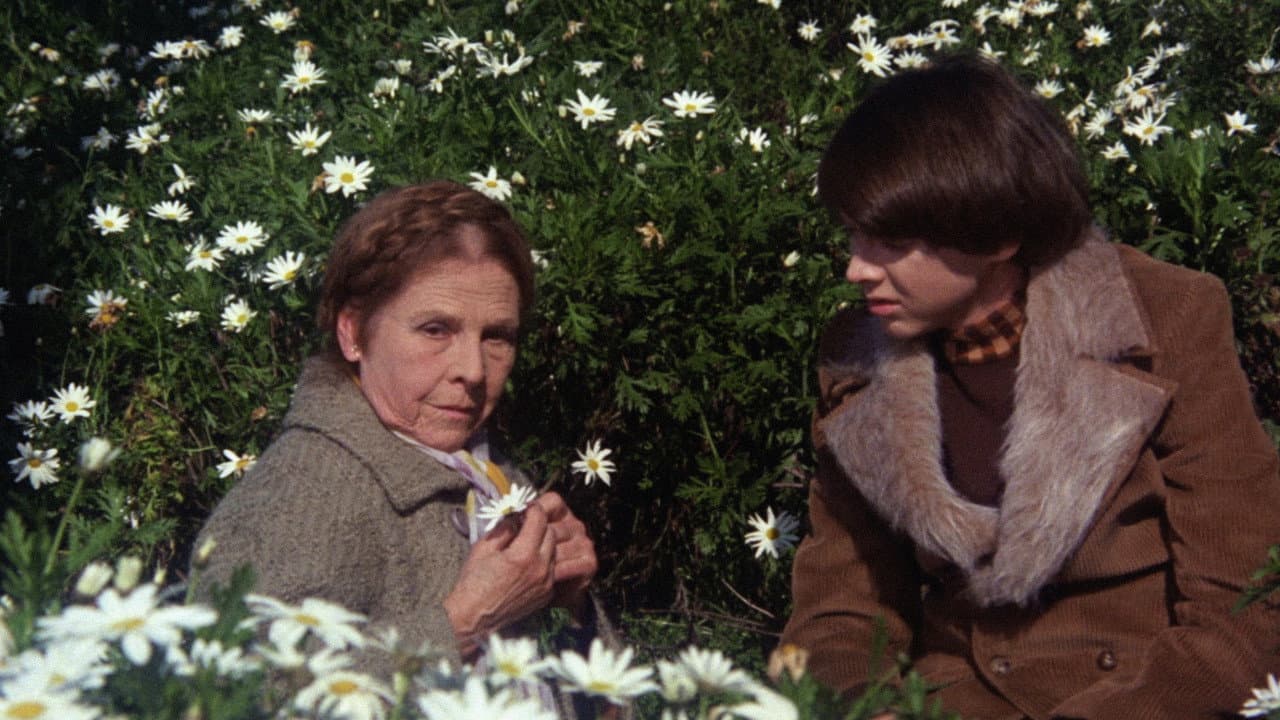 Harold and Maude — backdrops 7