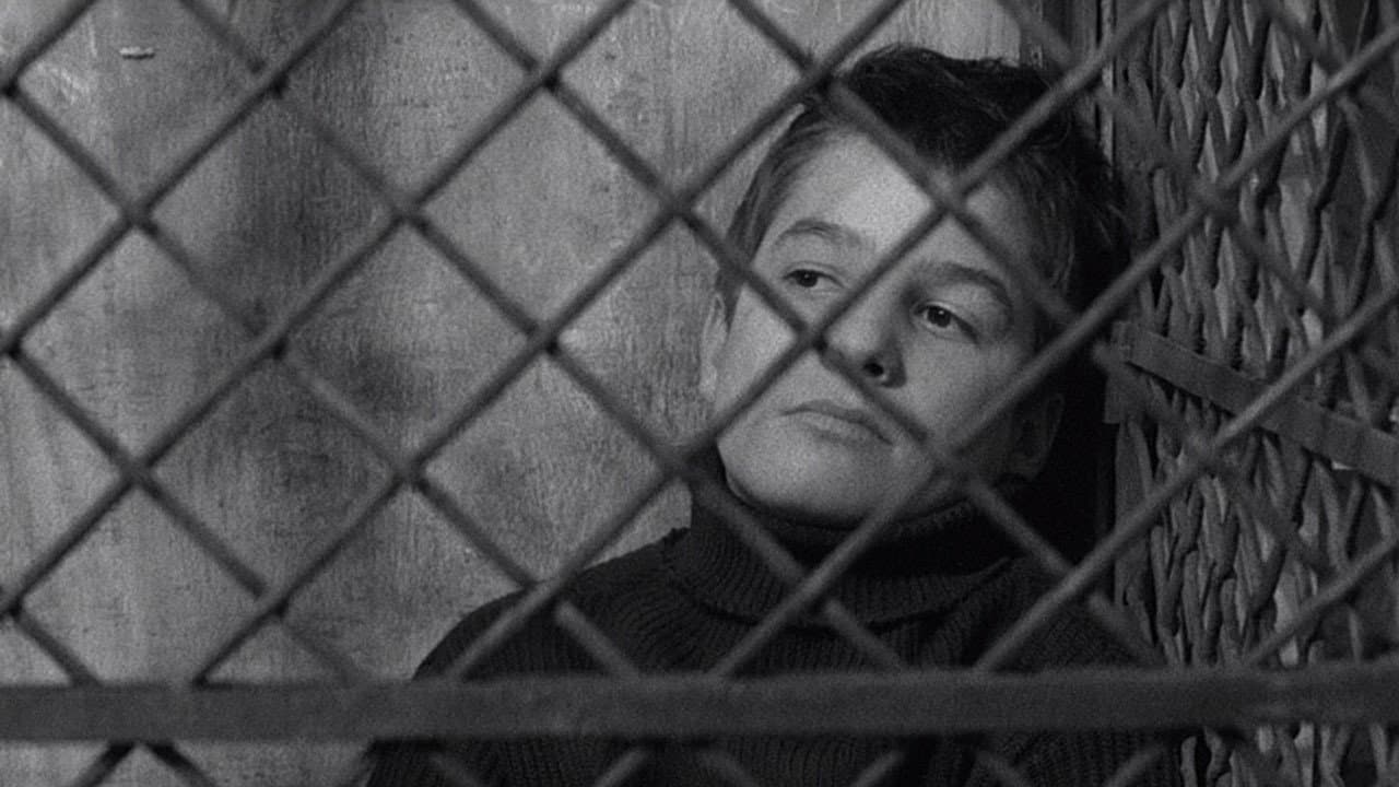 The 400 Blows — backdrops 6