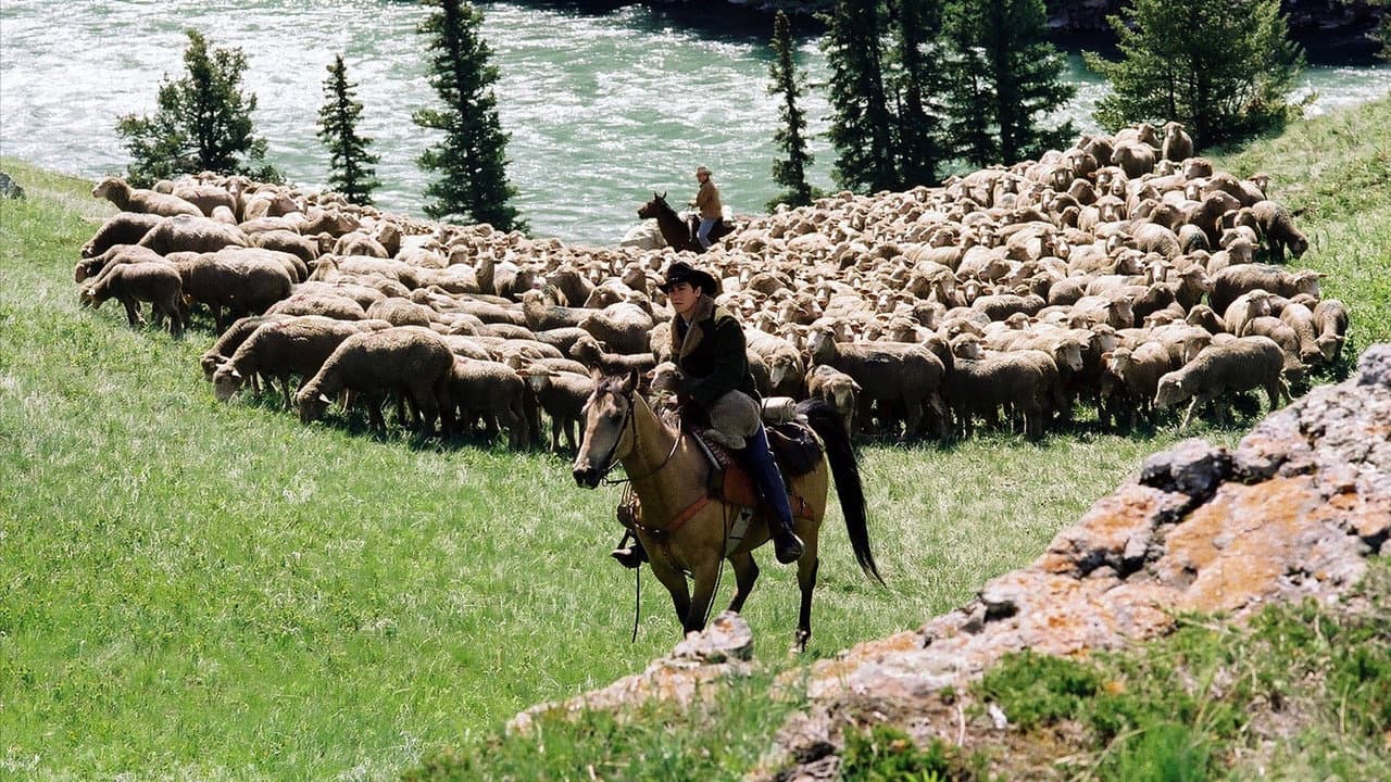 Brokeback Mountain — backdrops 3