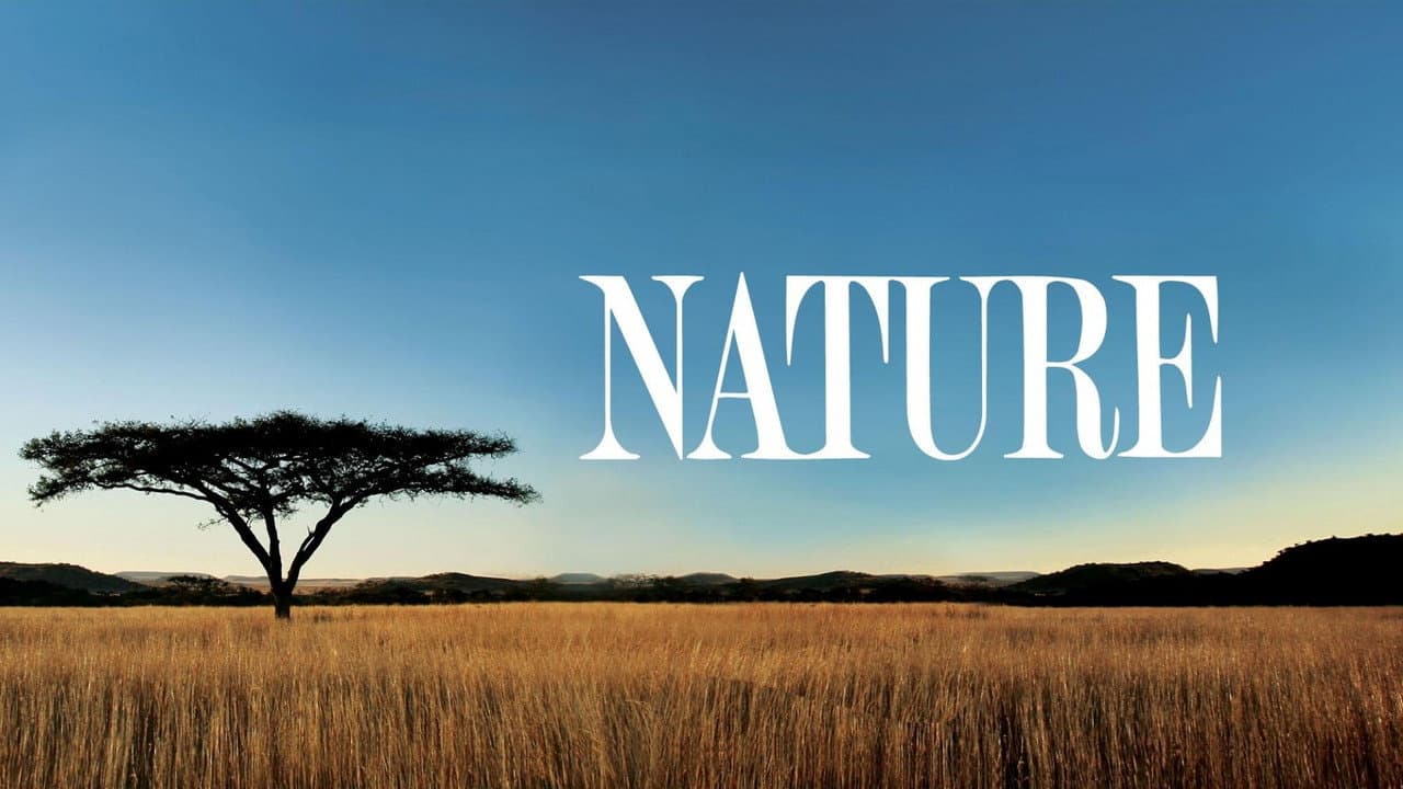 Nature — backdrops with title 8