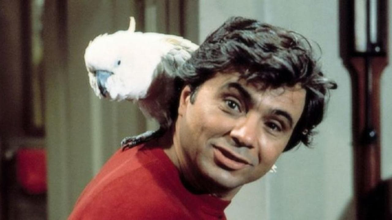Baretta — backdrops 1