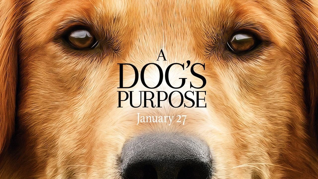 A Dog's Purpose — backdrops with title 2