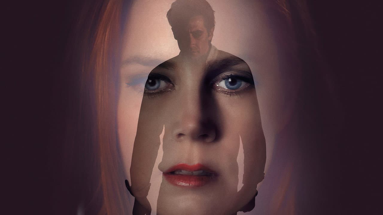 Nocturnal Animals — backdrops 8
