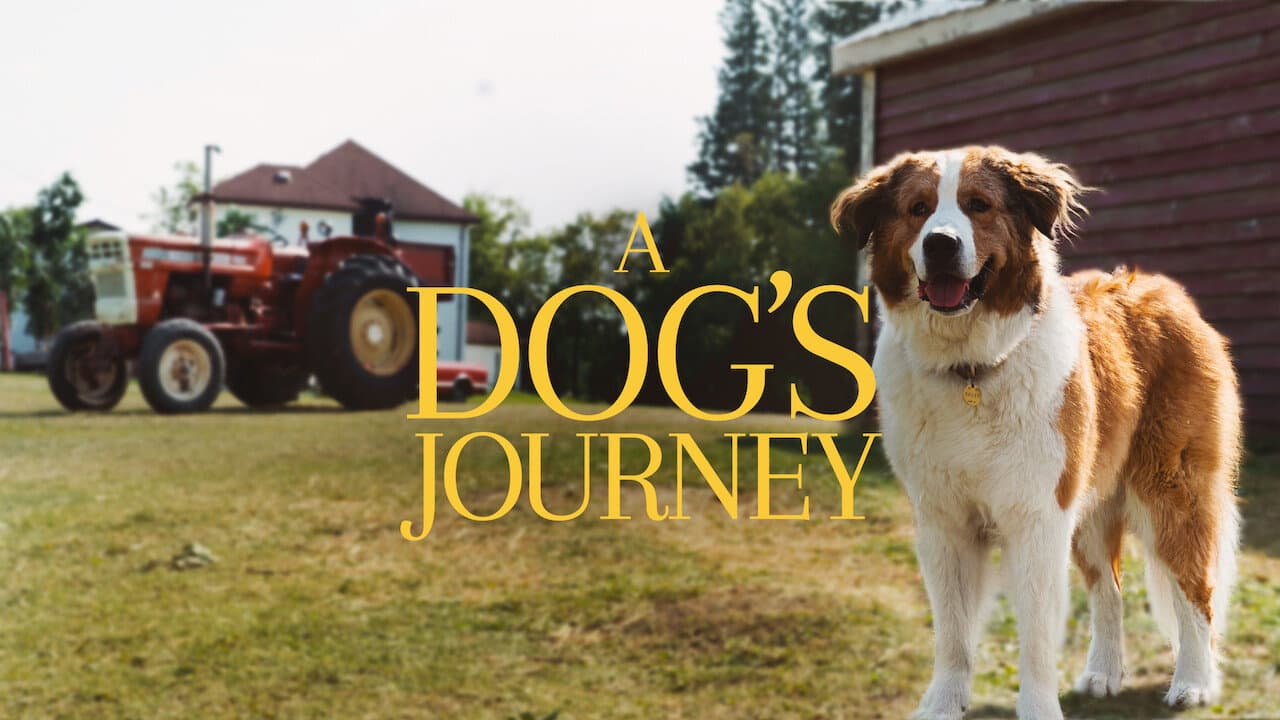 A Dog's Journey — backdrops with title 3