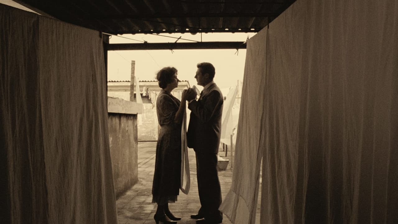 A Special Day — backdrops 3
